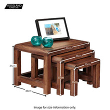 Load image into Gallery viewer, Salem Walnut Nest of Tables